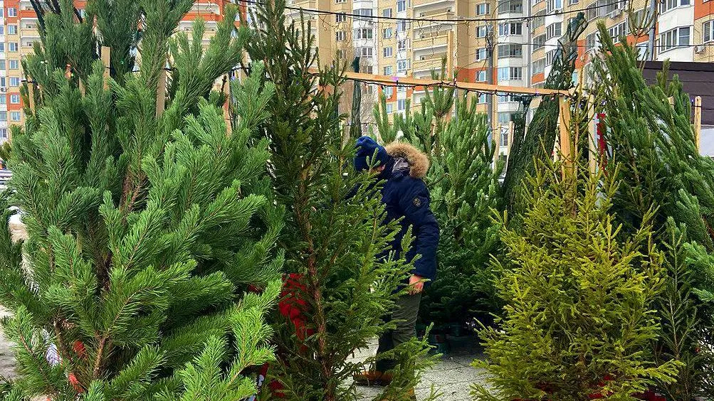 Пресс-служба Минсельхозпрод МО