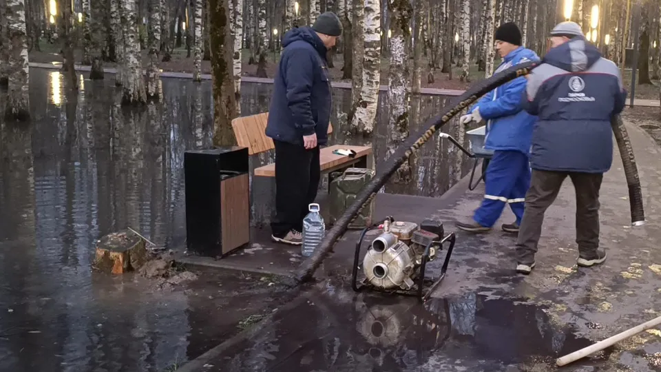 Фото: МедиаБанк Подмосковья/Екатерина Федосеева