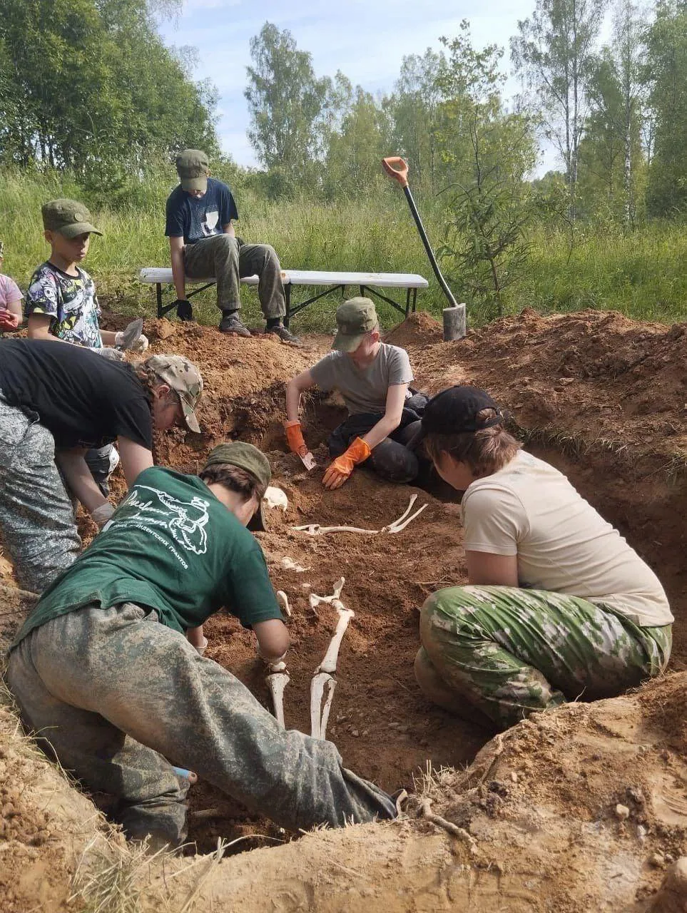 Картинка