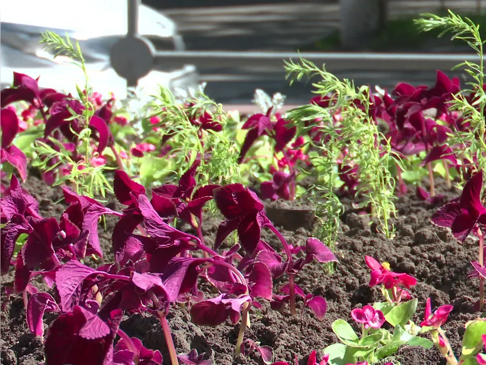 Фото: Ксения Казакова