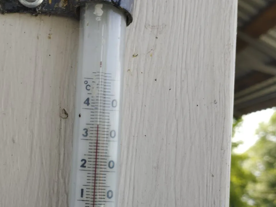 Фото: Дмитрий Елизаветенков