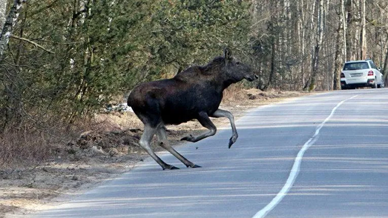 Фото: Игорь Зарембо