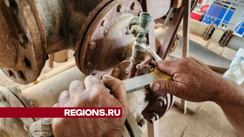 Фото: Елена Лабзина