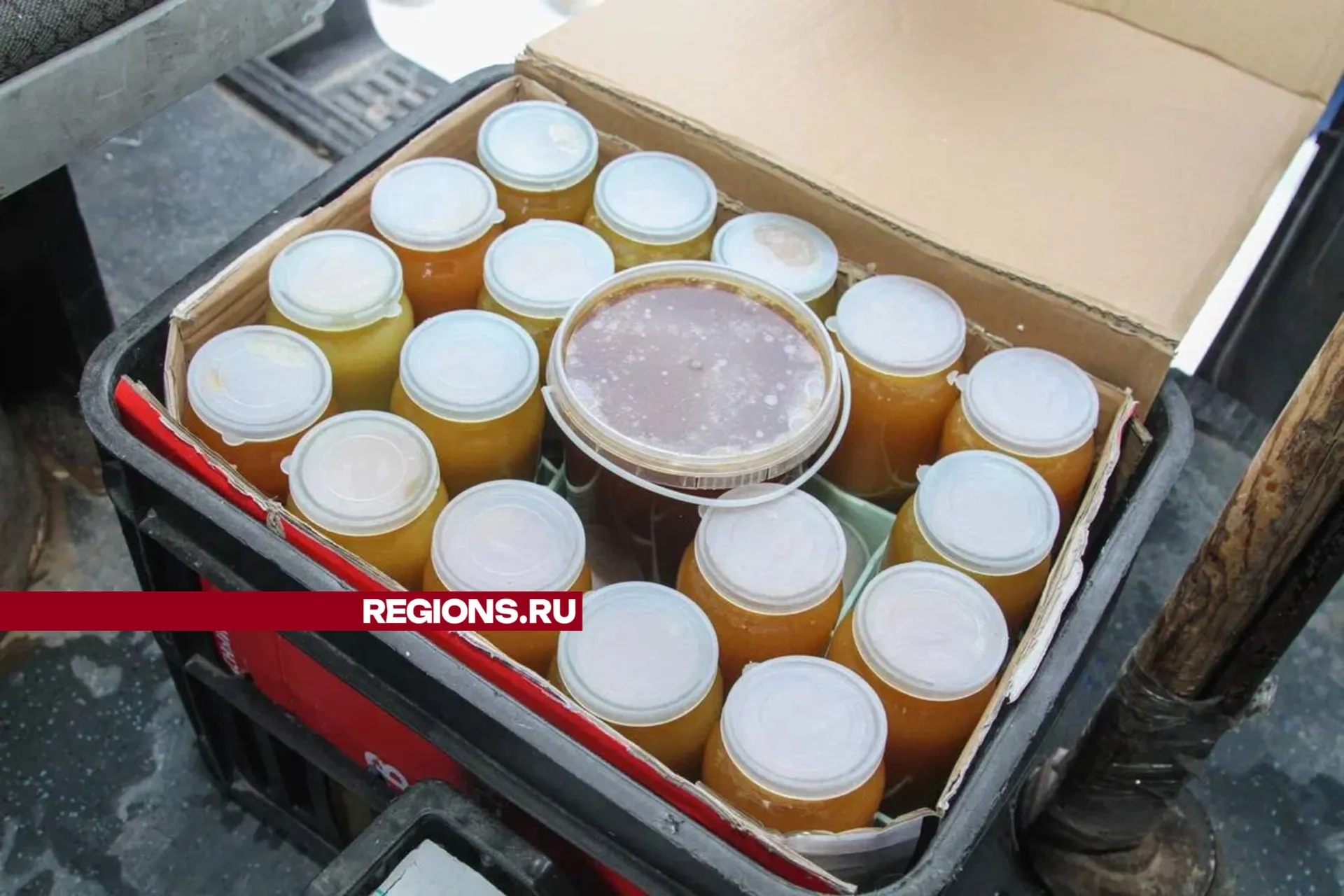 Фото: Анастасия Хренкова