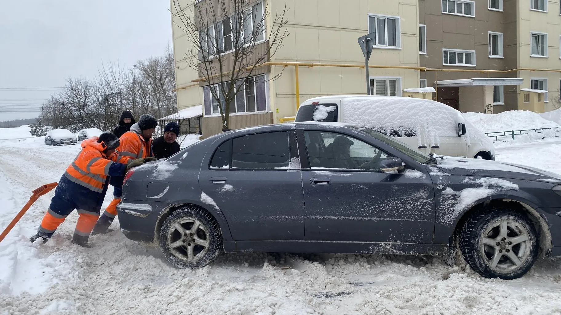 Анна Артюшина