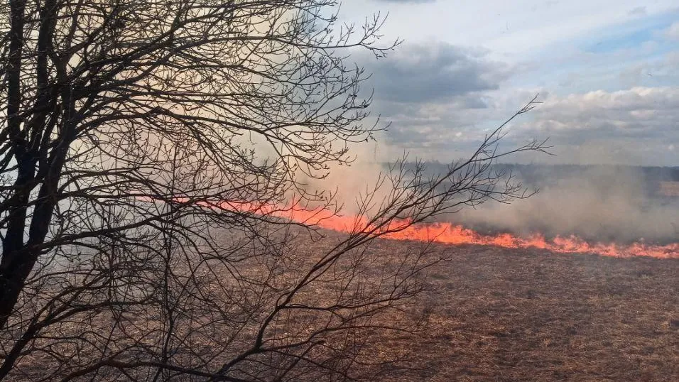 Фото: ГКУ МО «Мособлпожспас»