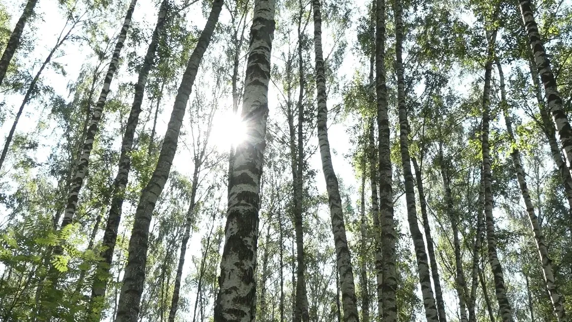 фото - Н. Надточая