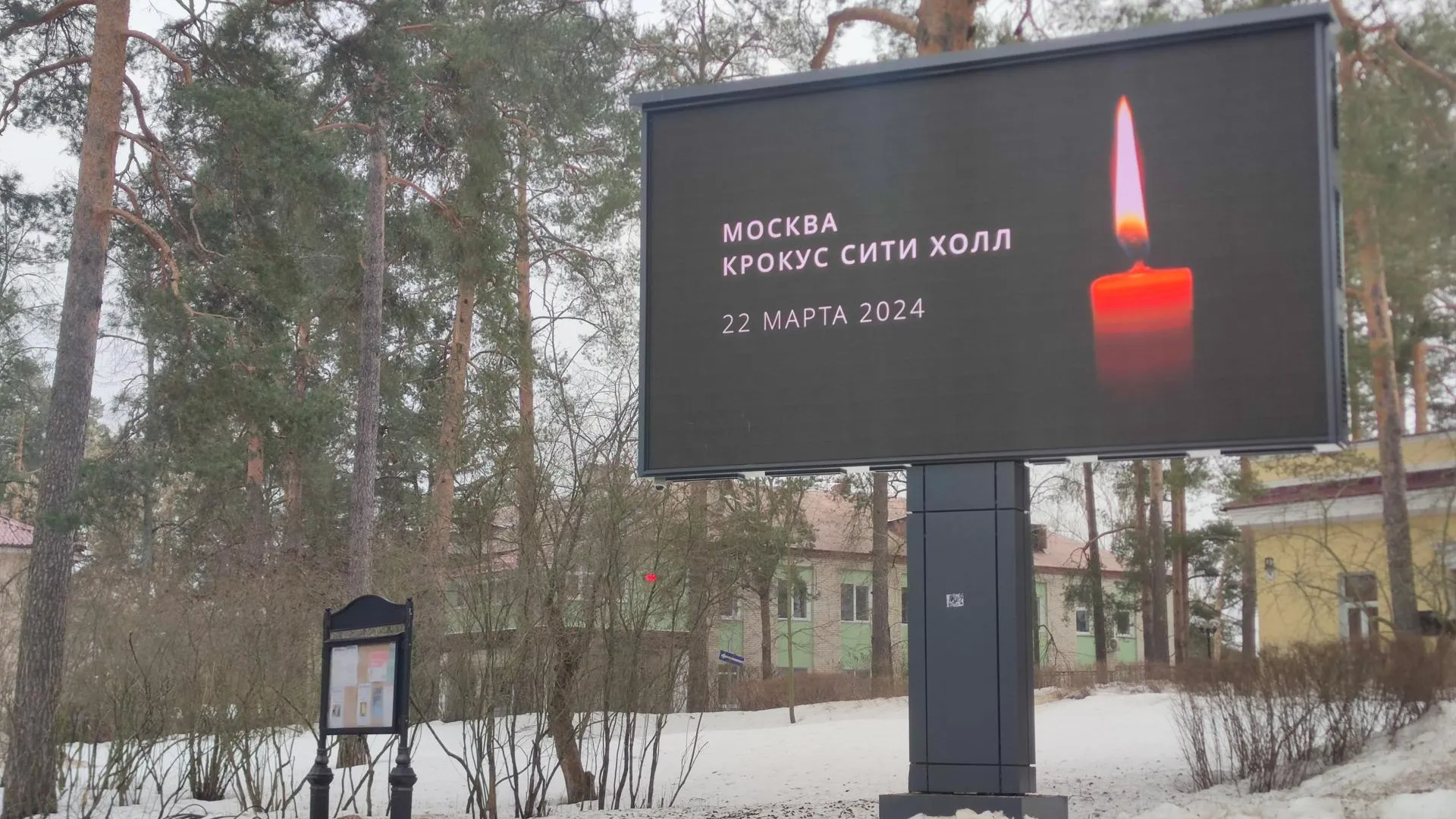 Фото: Арина Кузнецова.