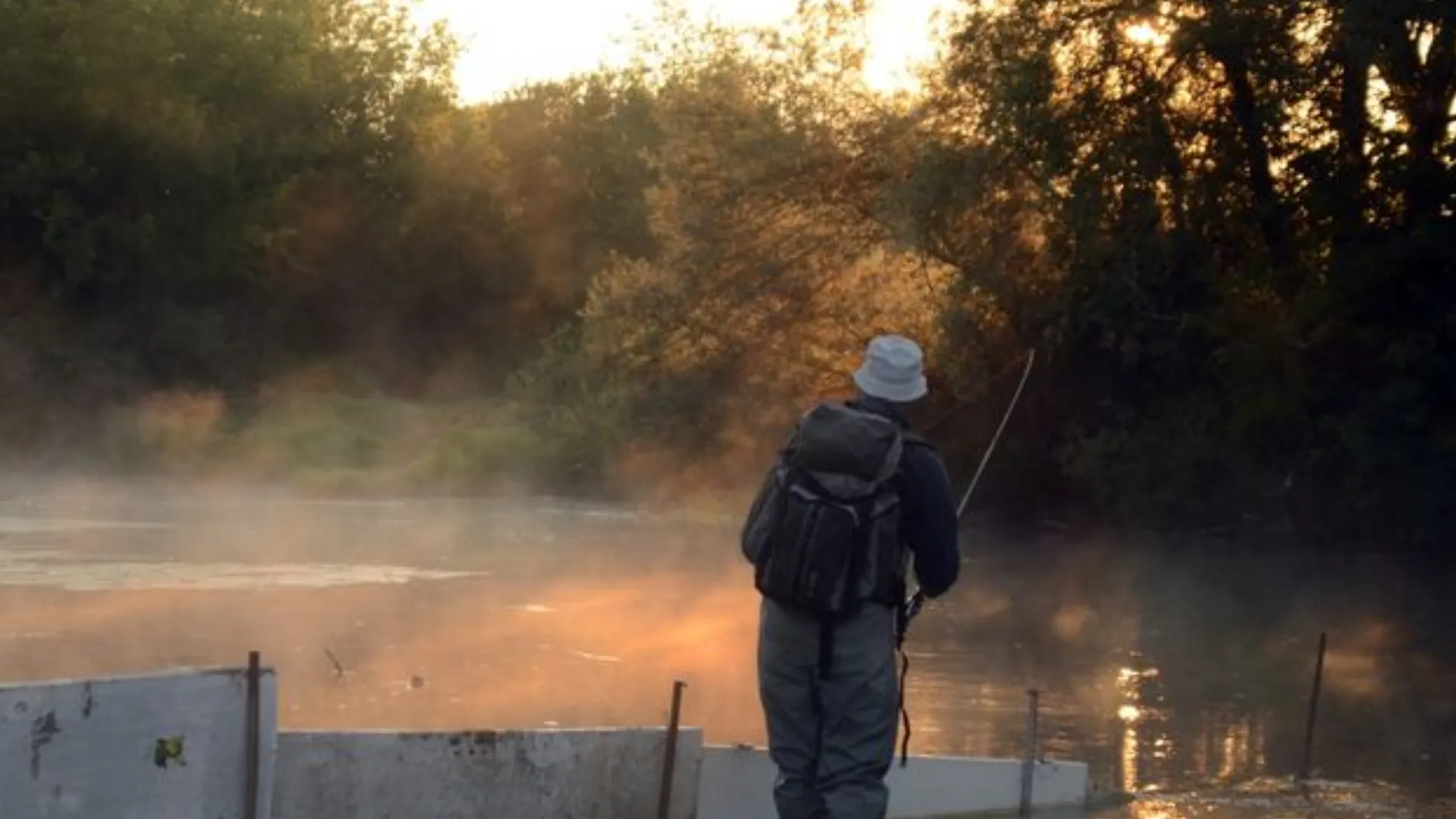 Фото: медиасток.рф