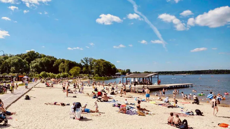 Фото: пресс-служба губернатора и правительства Московской области
