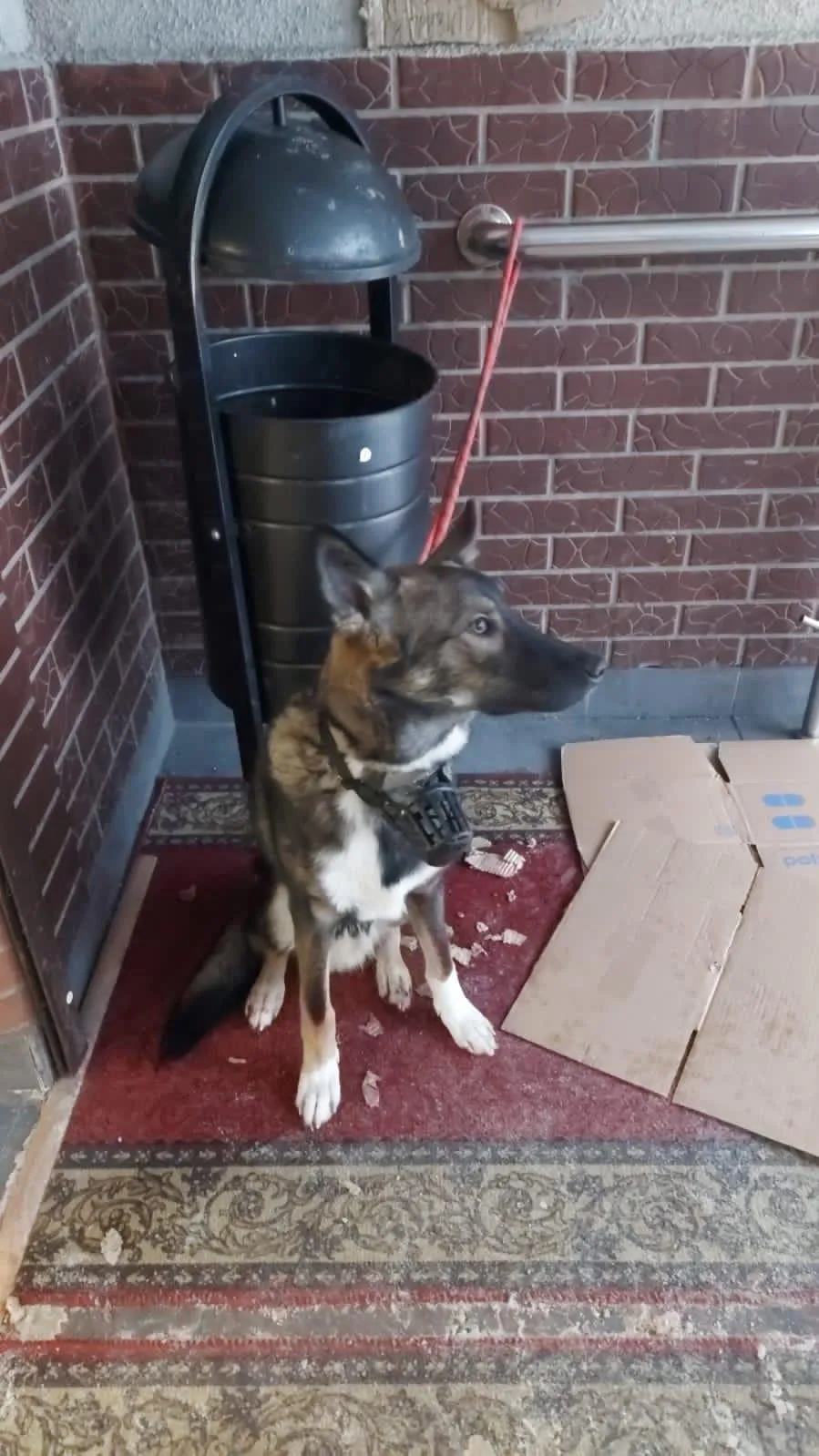 Фото: Подслушано | Истра / ВКонтакте