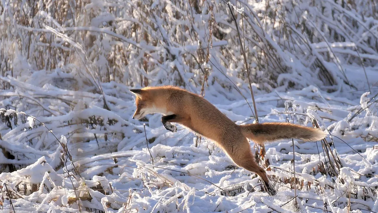 выставочный зал «Дом Широкова»