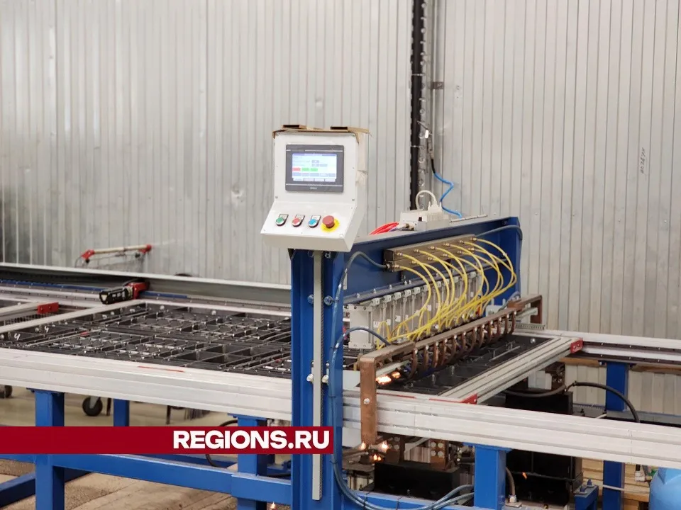 Фото: Светлана Плотникова