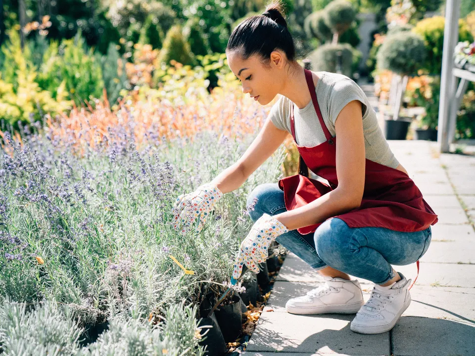 Фото: istockphoto.com/martin-dm