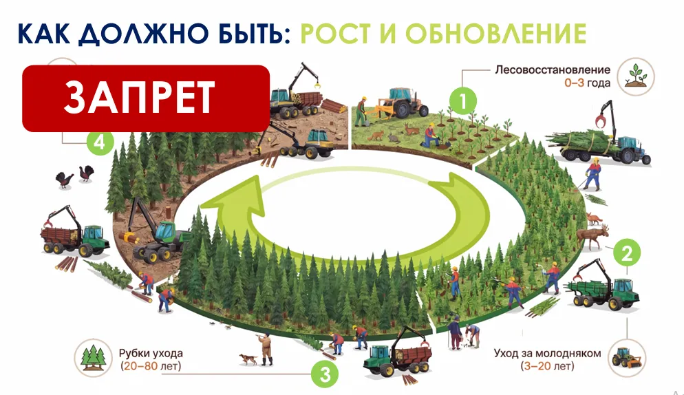 Комлесхоз МО