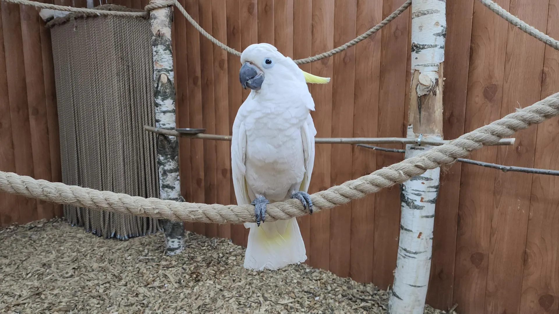 МедиаБанк Подмосковья/Артем Мишуков