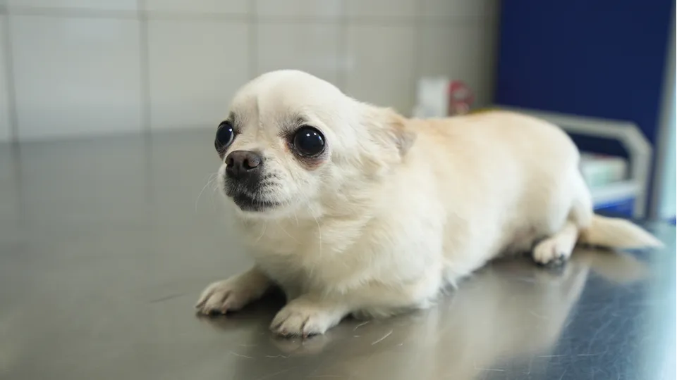 Фото: REGIONS/Наталия Надточая