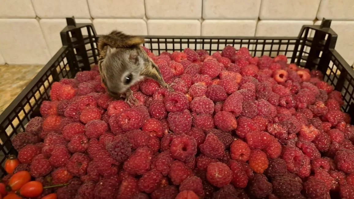 Фото: Мария Шматкова