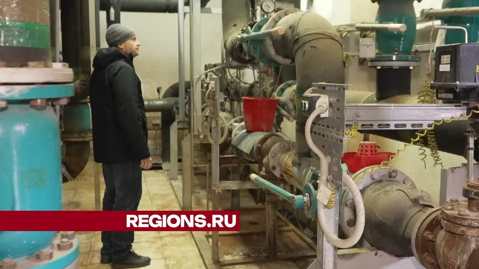 Фото: Елена Аботурова