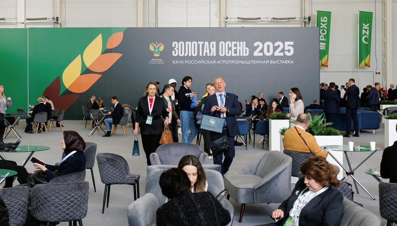 медиасток.рф