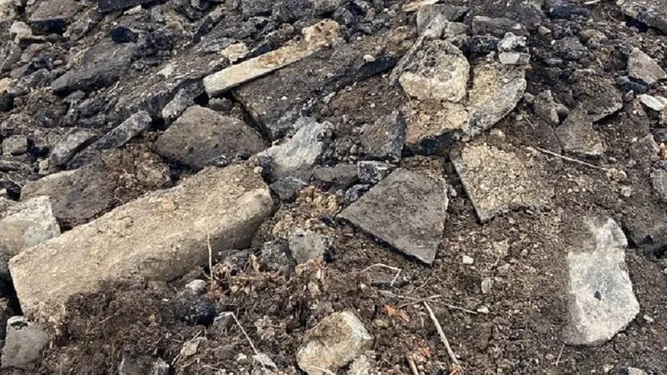 Фото: Министерство экологии и природопользования Московской области