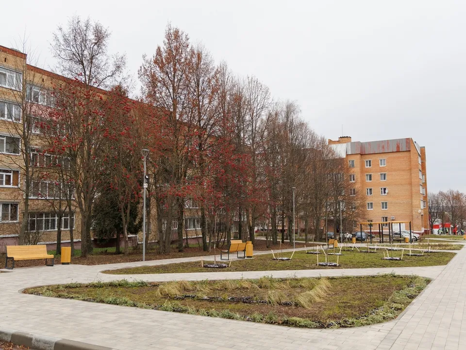 Фото: пресс-служба администрации г.о. Кашира