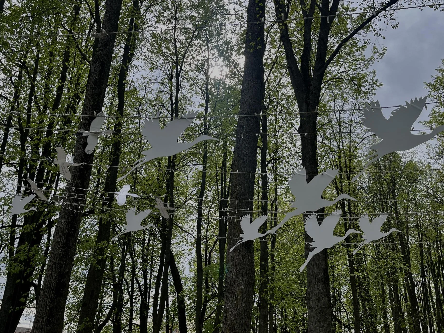 Фото: Анна Тюрюмина&nbsp;&nbsp;