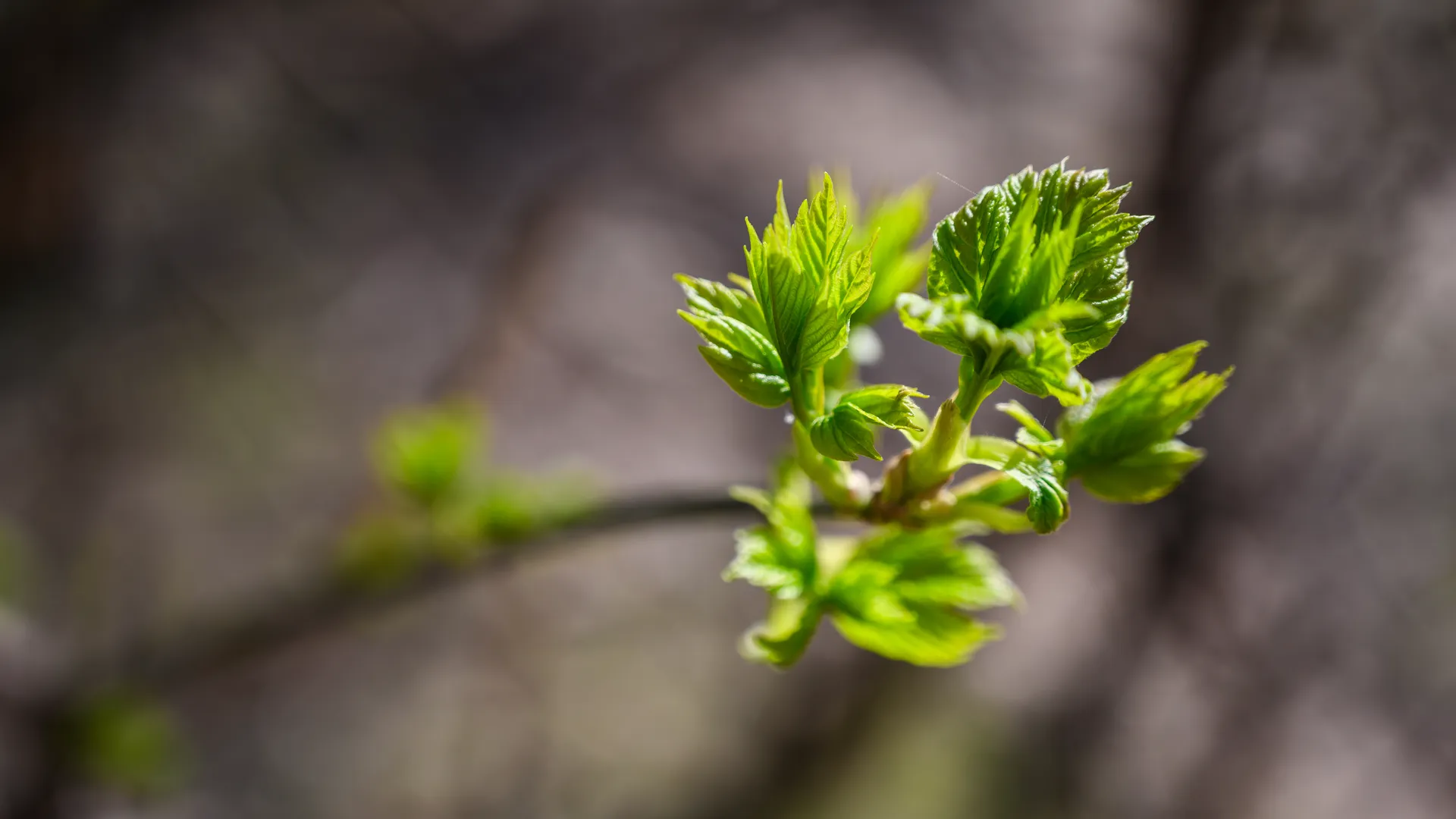 медиасток.рф