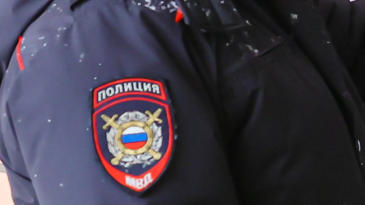 Фото: Медиаархив Подмосковья