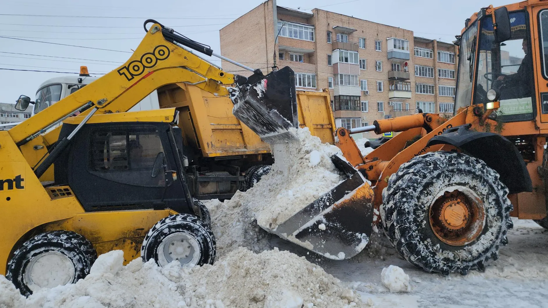 Фото: Михаил Мартыненко