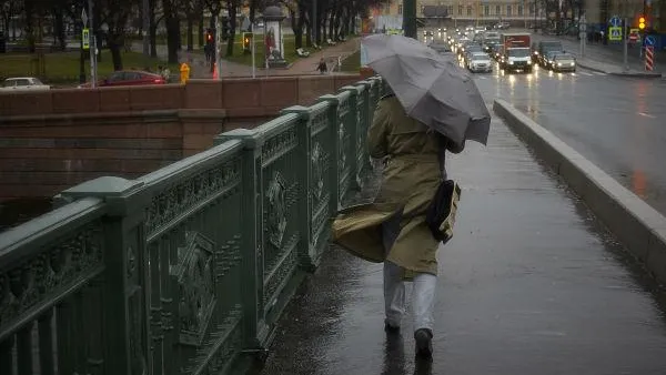 Алексей Даничев / РИА Новости