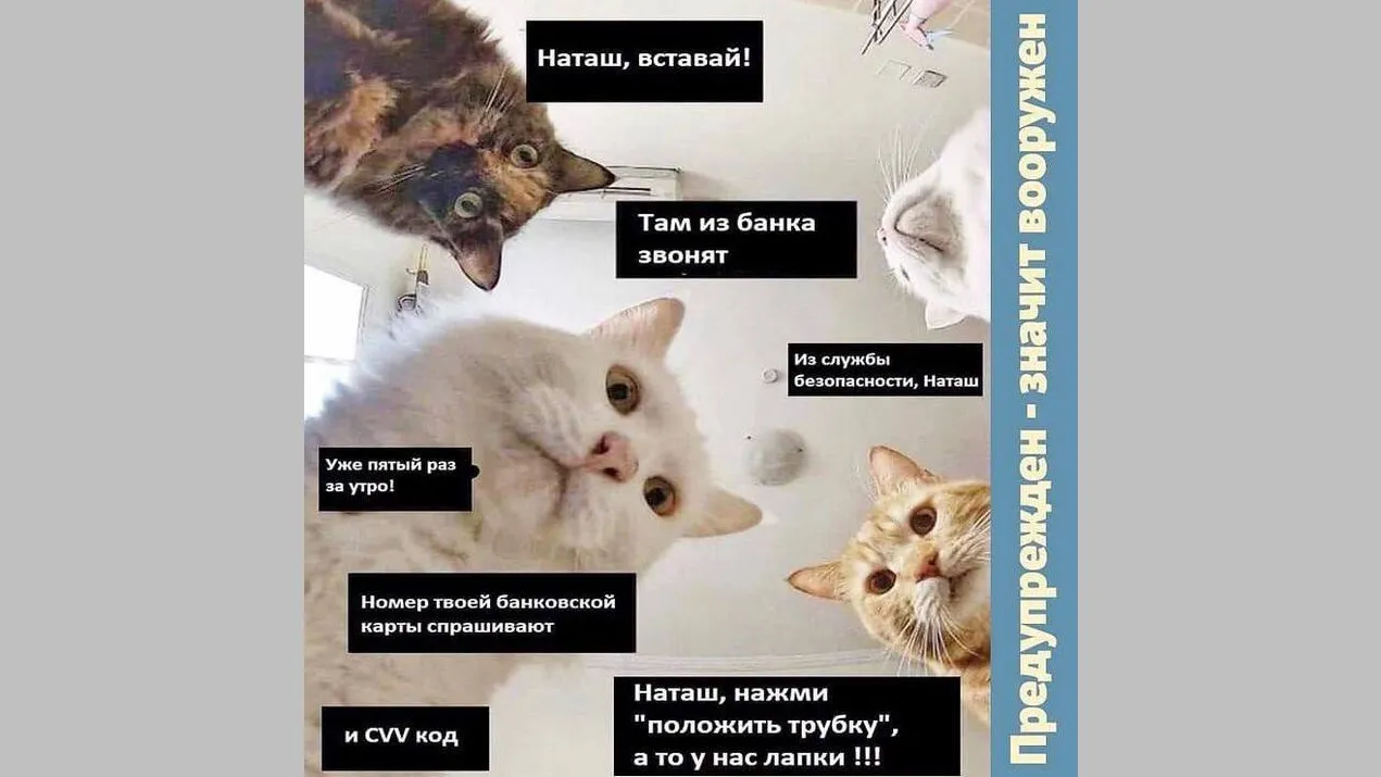Фото: Официальный представитель МВД Ирина Волк