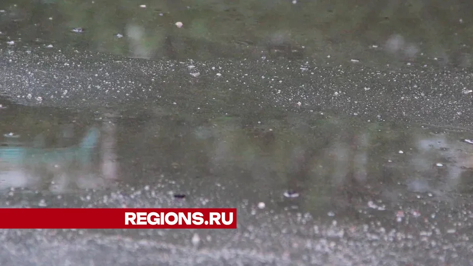 Фото: REGIONS/Василий Тремасов