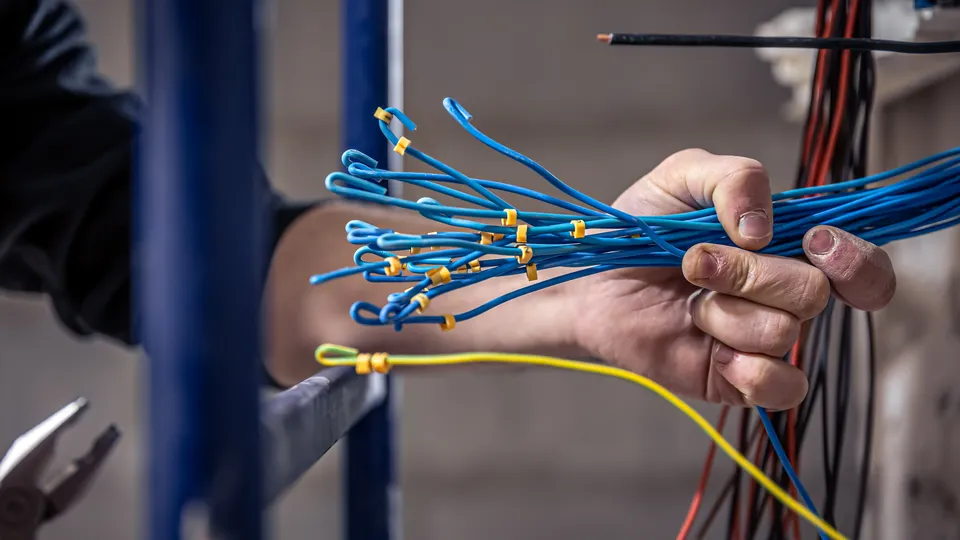 Фото: freepik.com