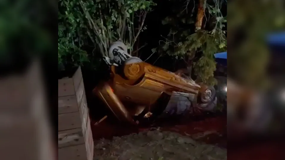 Фото: t.me/Life_dmitrov