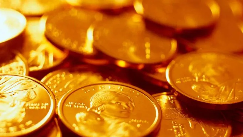 Золотые монеты на 1 млн похитили из иномарки в Академическом районе