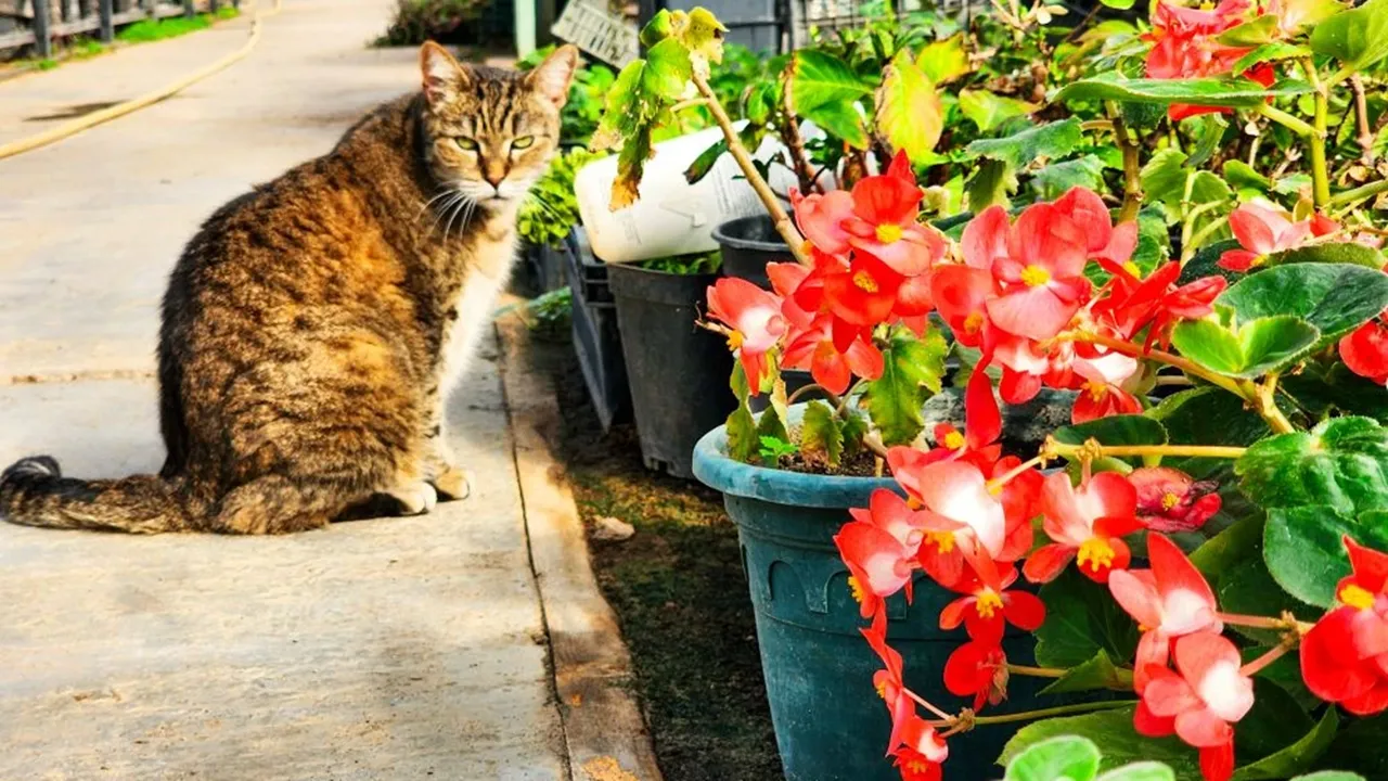 REGIONS/Мария Панина