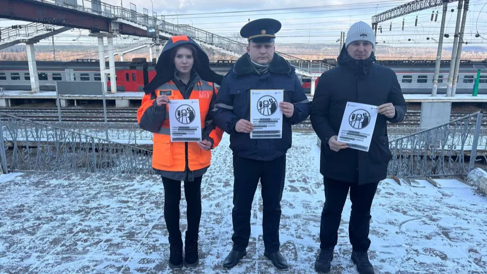 Фото: пресс-служба администрации г. о. Кашира