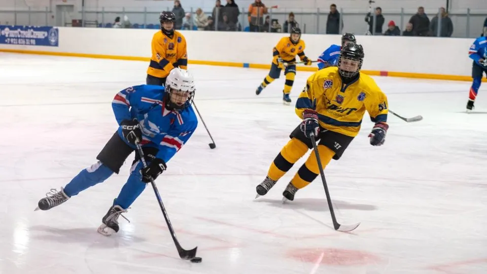 Фото: пресс-служба администрации г.о. Лыткарино