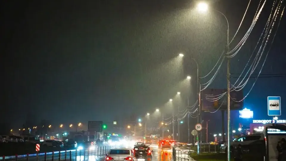 Фото: Министерство благоустройства Московской области