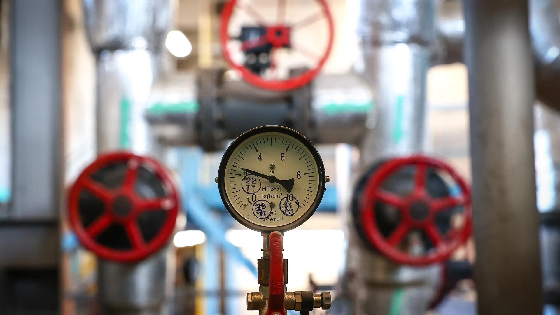 Фото: пресс-служба администрации г.о. Королев