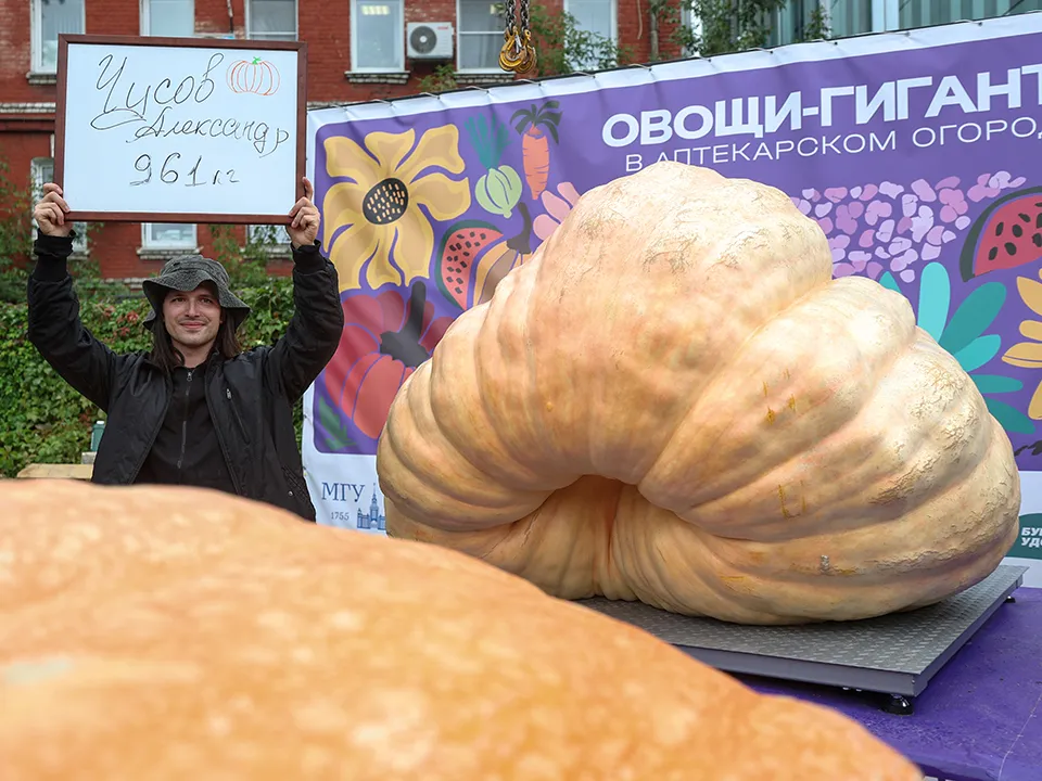 Фото: ТАСС/Софья Сандурская