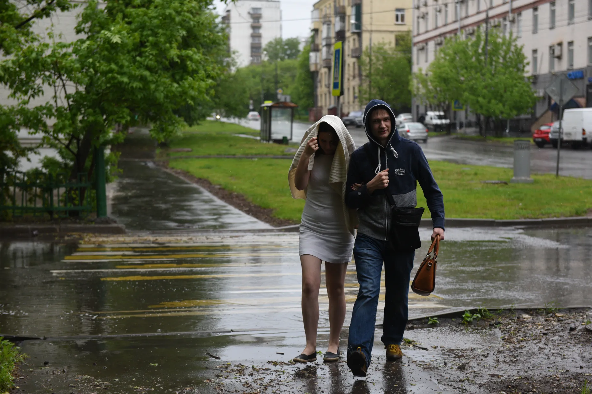 Последствия урагана в московском регионе