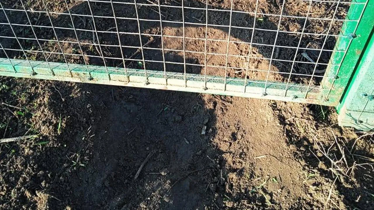 Фото: пользователя соцсетей alimovprumia