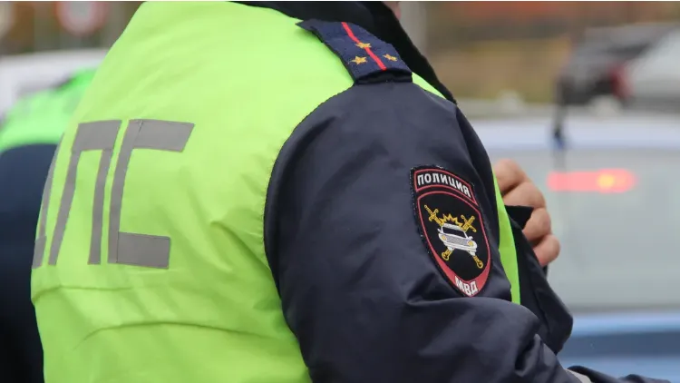 REGIONS/Василий Тремасов