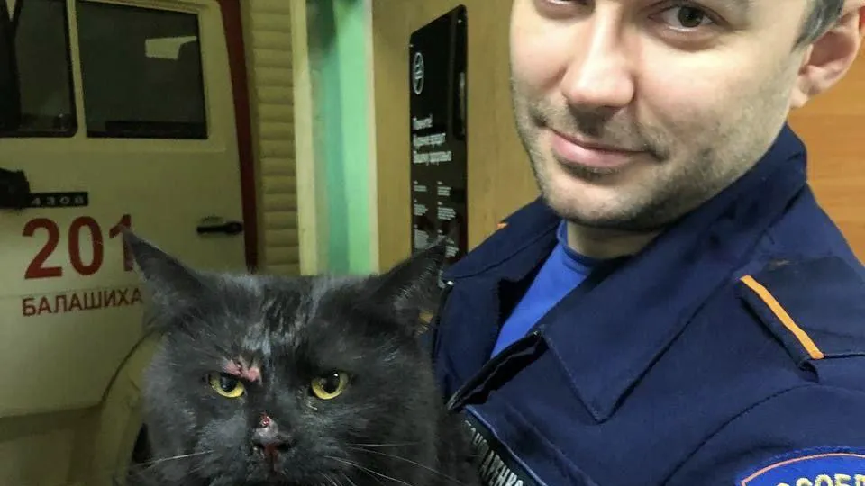 Фото: ГКУ МО «Мособлпожспас»