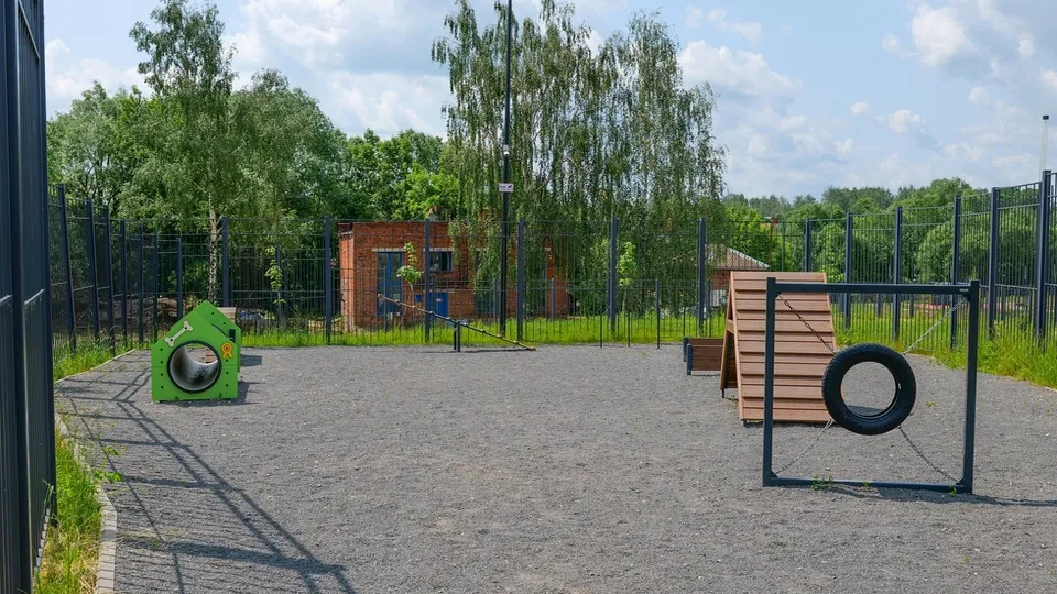 Фото: пресс-служба администрации м.о. Луховицы