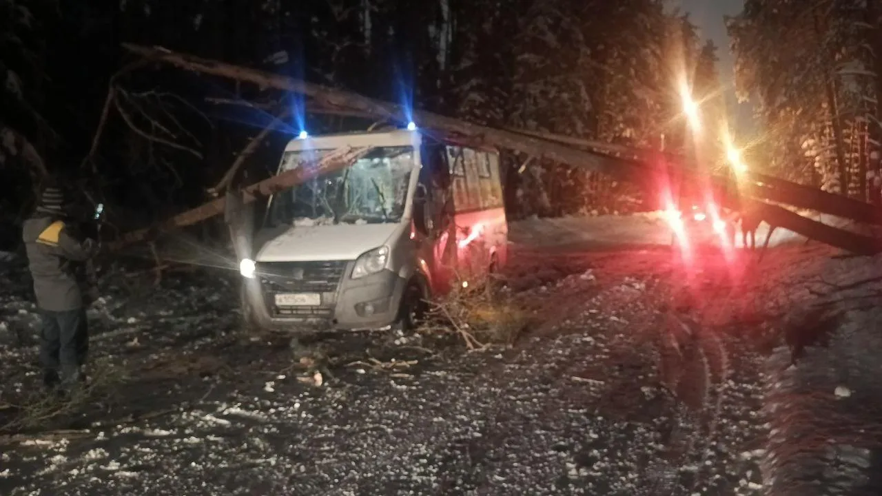 пресс-служба администрации ЗАТО Звездный городок