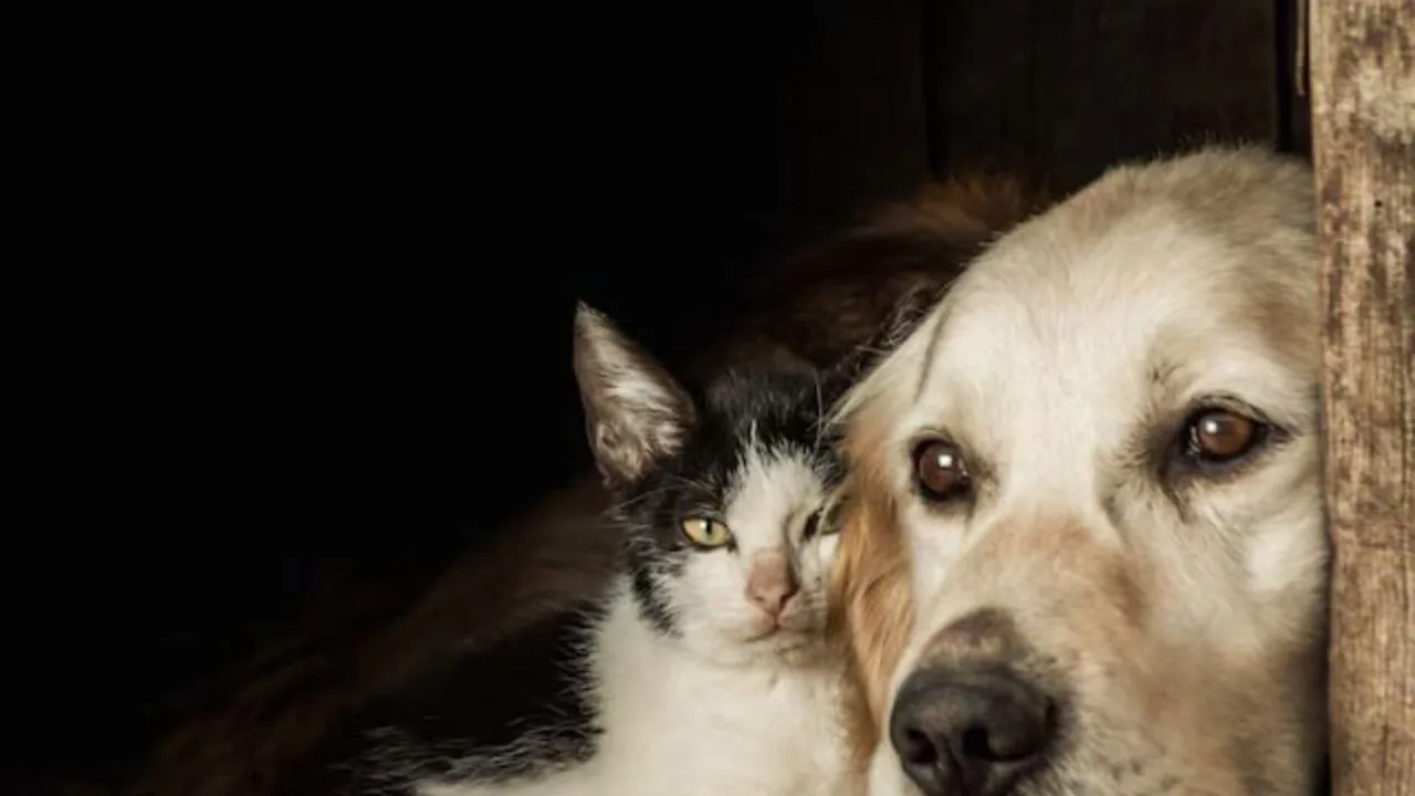 Фото: freepik.com