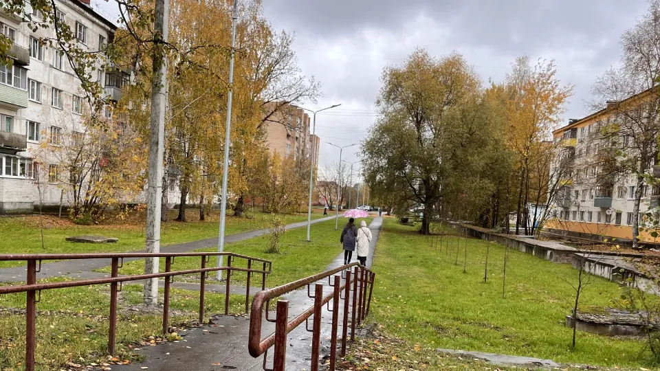 Фото: МедиаБанк Подмосковья/Ангелина Стельмух